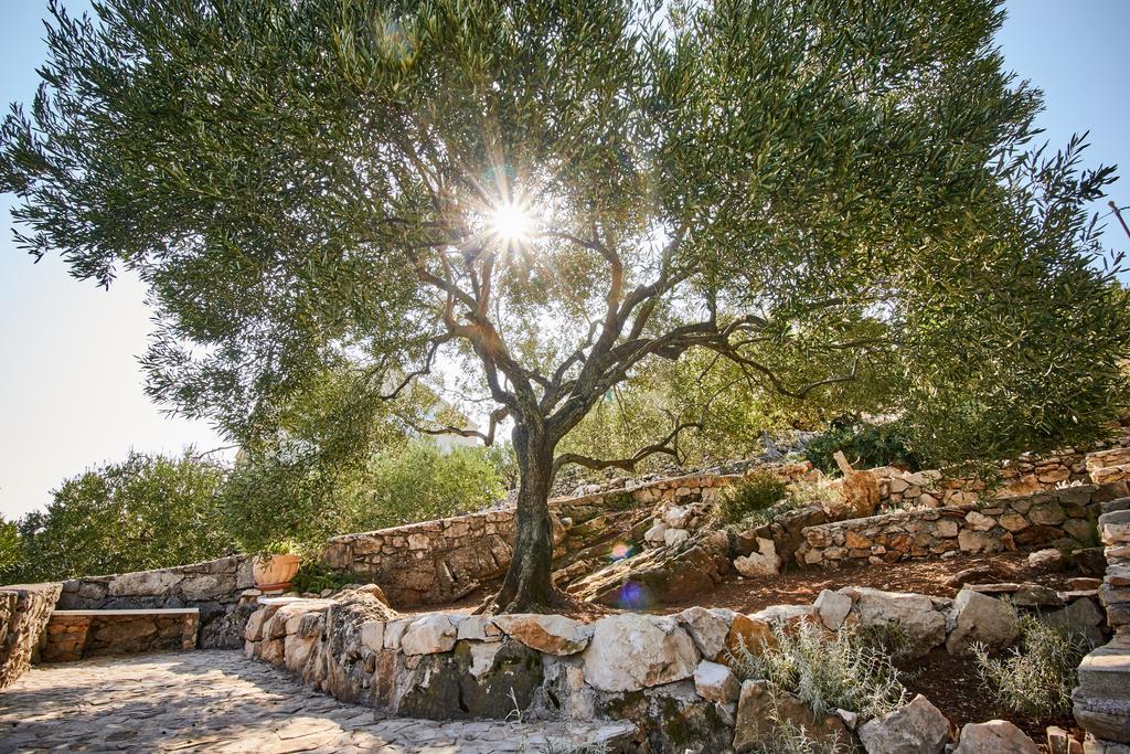 Kuca Gaspar Villa Dubrava  Bagian luar foto